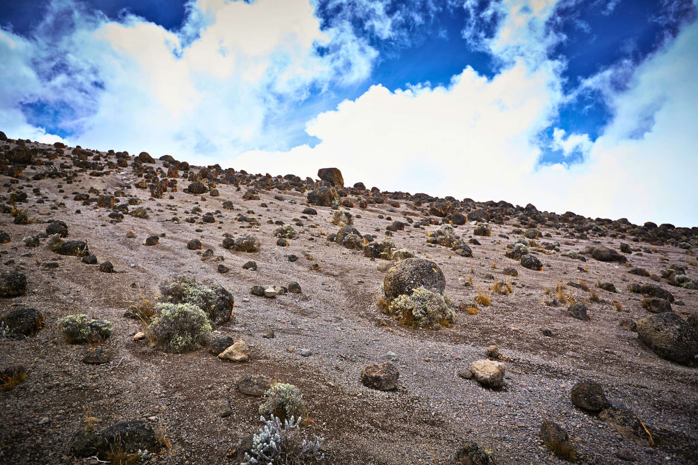 karanga camp kilimanjaro (4).webp
